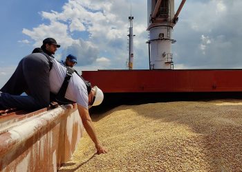 Турция и ООН запланировали переговоры по зерновой сделке с Россией