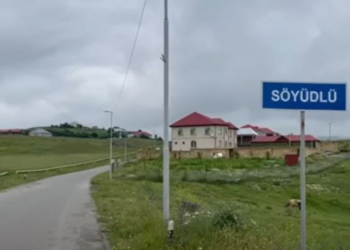 Названы условия возобновления работы завода в Сёюдлю