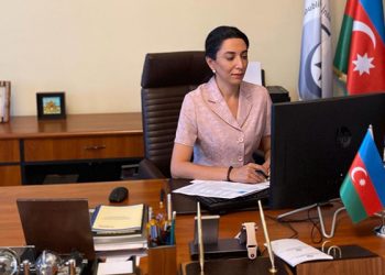 Омбудсмен Сабина Алиева предлагает армянам Карабаха звонить к ней на горячую линию 96 Омбудсмен Сабина Алиева предлагает армянам Карабаха звонить к ней на горячую линию