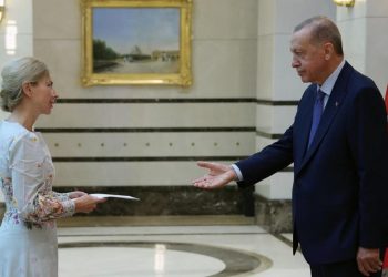 Эрдоган принял нового посла Швеции в Анкаре