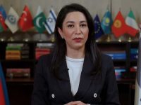 Сабина Алиева назвала обвинения армянского правозащитника необоснованными