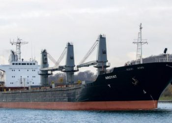 Суда с экипажами из турок и азербайджанцев достигли украинского порта (обновлено) 43 Суда с экипажами из турок и азербайджанцев достигли украинского порта (обновлено)