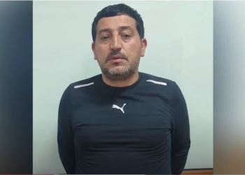 Житель Гобу выращивал у себя во дворе коноплю (видео)