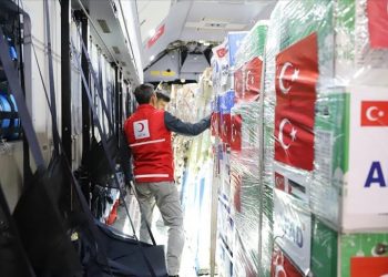 В Египет прибыл первый самолет из Турции с гумпомощью для Газы