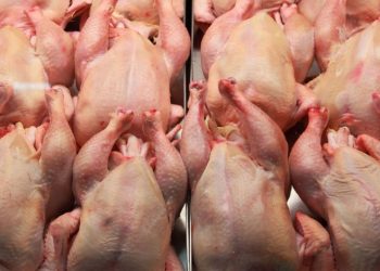 Французская продукция попала под запрет в Азербайджане 22 Французская продукция попала под запрет в Азербайджане