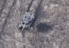 ВС России подбили первый украинский танк Leopard 1A5 (видео)