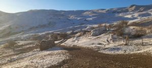 В ряде районов страны выпал снег