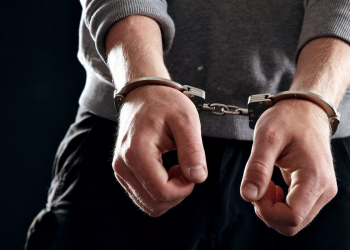 МВД сообщило о задержании десятков подозреваемых за день