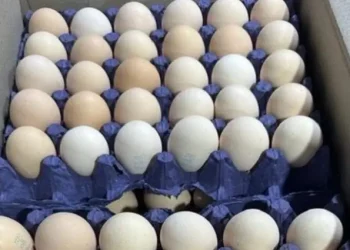 Ограничения на продажу яиц назвали маркетинговой уловкой