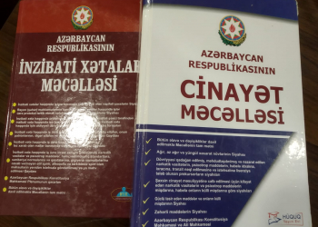 В Азербайджане ужесточаются наказания за незаконное искусственное оплодотворение и стерилизацию