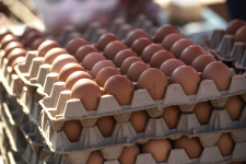 В Милли Меджлисе назвали продукт, который не подорожал за 10 лет