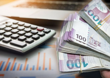 Лейла Рзаева разъяснила особенности страховых выплат по безработице