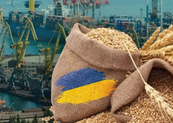 Война в Украине толкает мир к продовольственному кризису 2 Война в Украине толкает мир к продовольственному кризису