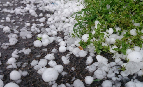 В Метеослужбе прокомментировали недавний град