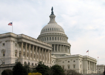 В Конгрессе США нашли саркастический способ "защитить" Гренландию