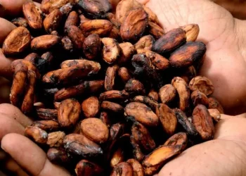 Азербайджан повысил стоимость импорта какао более чем на 15% 2 Азербайджан повысил стоимость импорта какао более чем на 15%