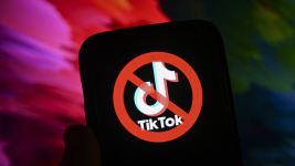 В школах Азербайджана ограничили доступ к TikTok