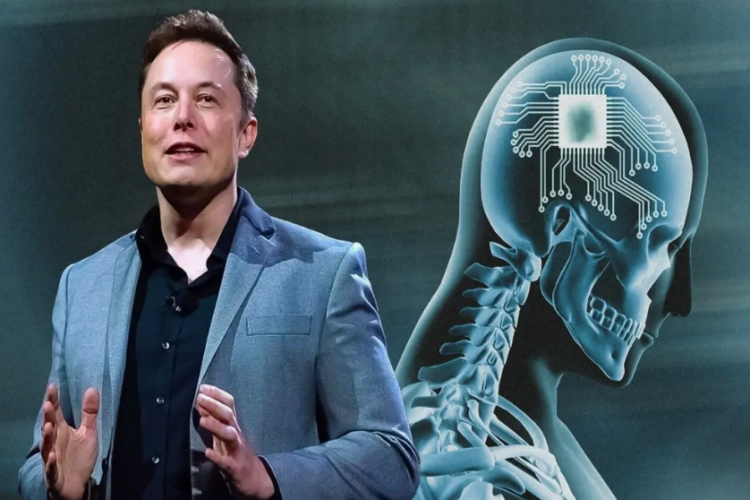 Mask beyninə çip yerləşdirilməsinə razılıq verən könüllü axtarır