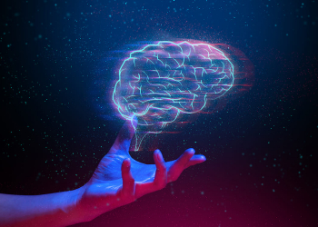 В Азербайджане планируют создать ИИ-инфраструктуру регионального уровня