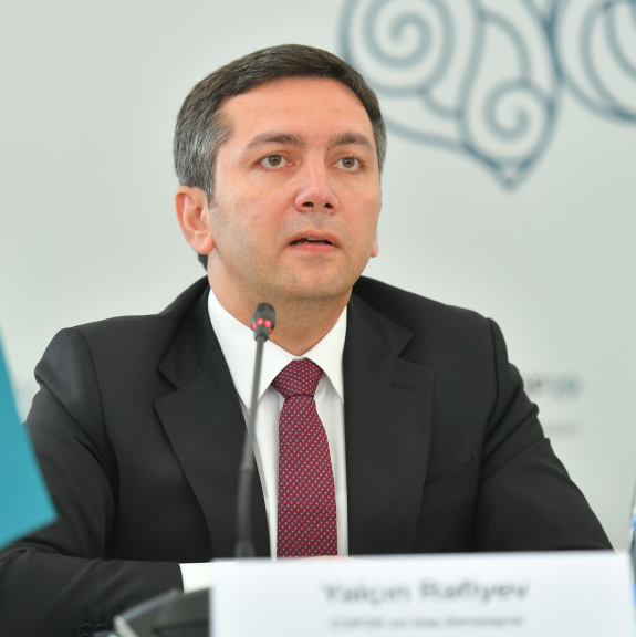 Ялчин Рафиев: Мир делится на развитые и развивающиеся страны