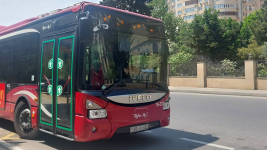 Названы автобусы, которые будут ездить к бесплатным станциям метро