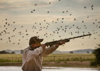В Азербайджане открывается сезон охоты
