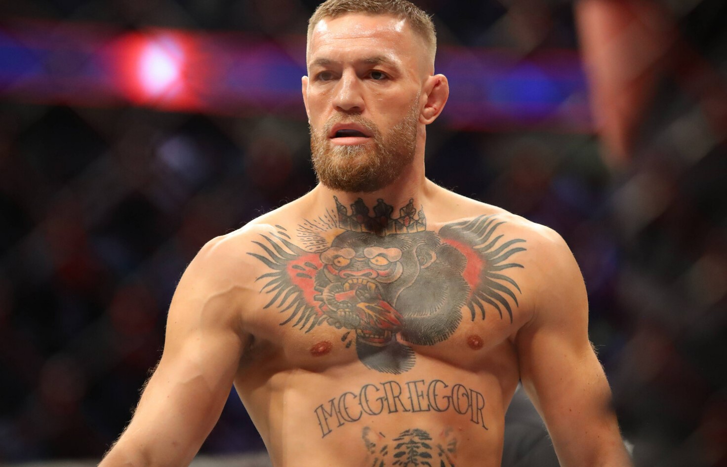 «Я был спасён». Макгрегор рассказал о встрече с Иисусом 1 «Я был спасён». Макгрегор рассказал о встрече с Иисусом