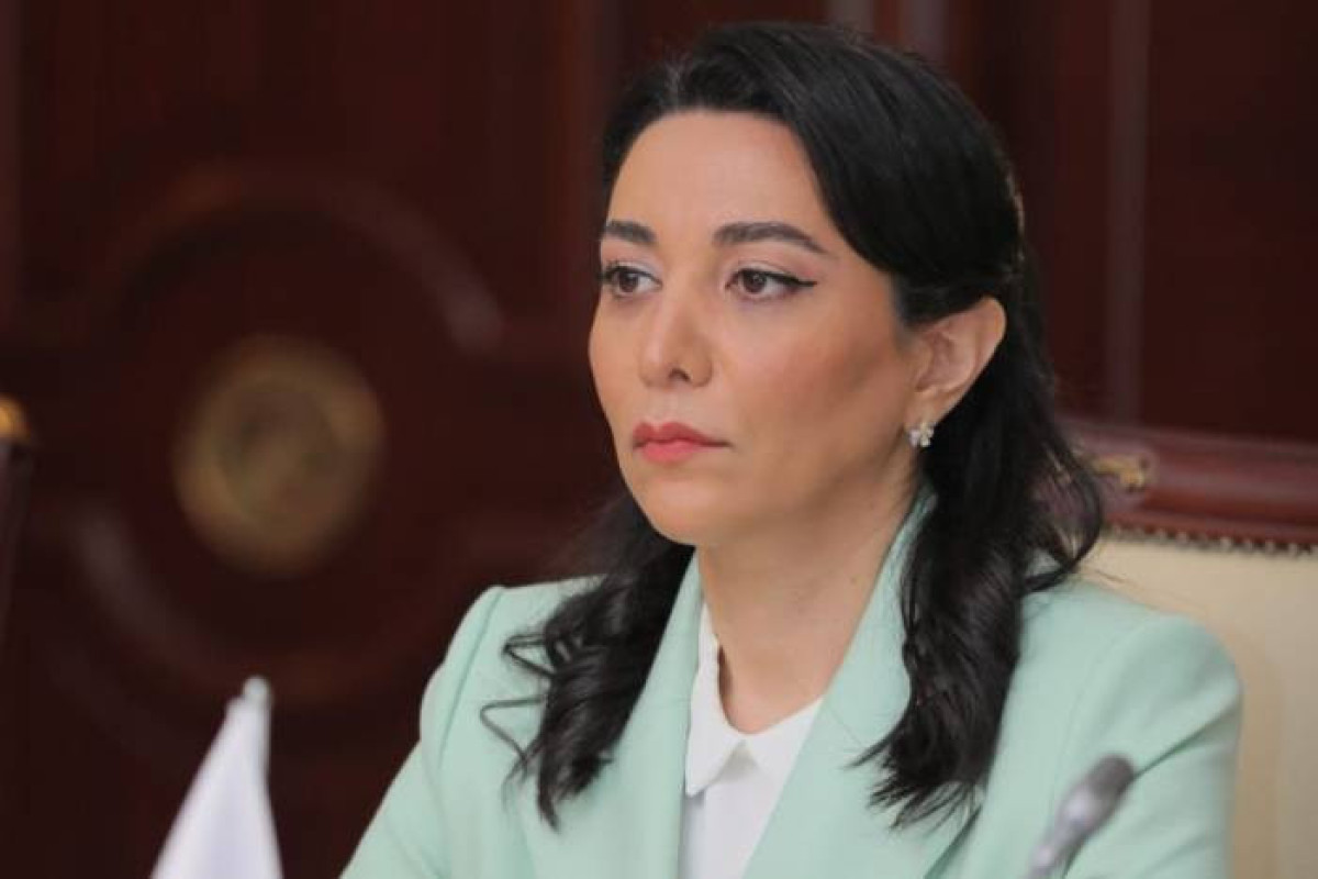 Сабина Алиева: Защита прав и свобод человека - одно из приоритетных направлений политики Азербайджана