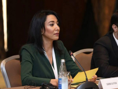 Сабина Алиева: Азербайджан все еще страдает от последствий оккупации