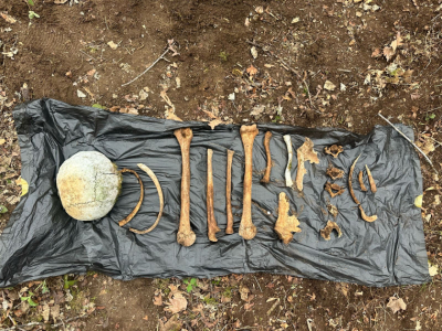 Правозащитница указала на сложности поисков без вести пропавших лиц