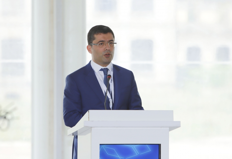 Директор MEDİA: Местные СМИ разоблачают клевету в отношении Азербайджана 