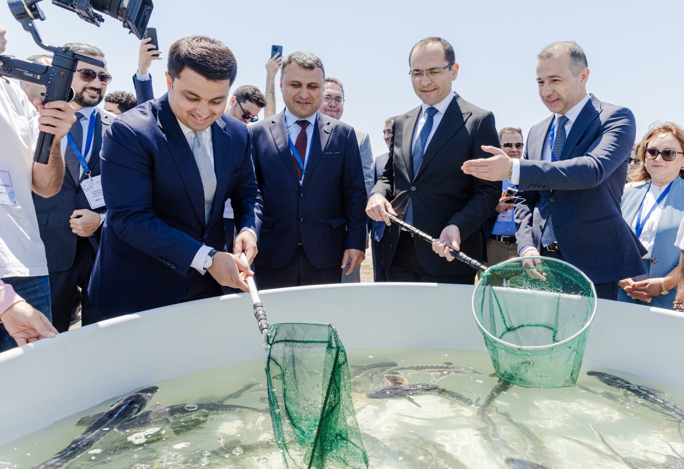 Azerbaijan Fish Farm выпустила 100 тысяч осетров и 20 тысяч каспийских лососей в Каспийское море