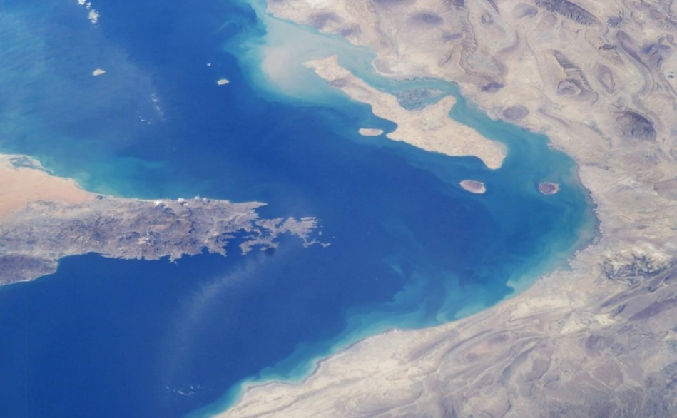 Глава Минэнерго США: ВМС пока не готовы сопровождать танкеры в Ормузском проливе