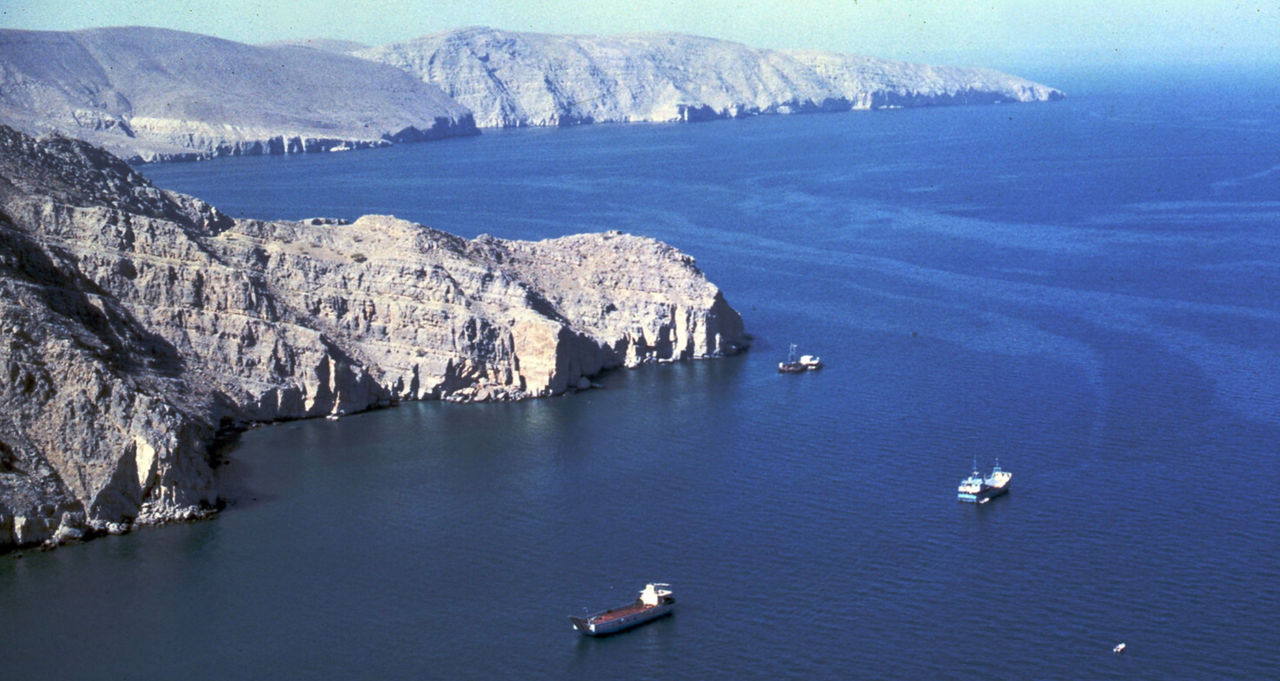 В Пентагоне заявили о наличии возможностей защитить суда в Ормузском проливе