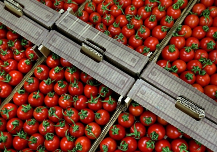 В Россельхознадзоре стали опасаться азербайджанской продукции и назвали причину