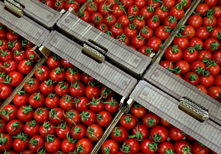 В Россельхознадзоре стали опасаться азербайджанской продукции и назвали причину