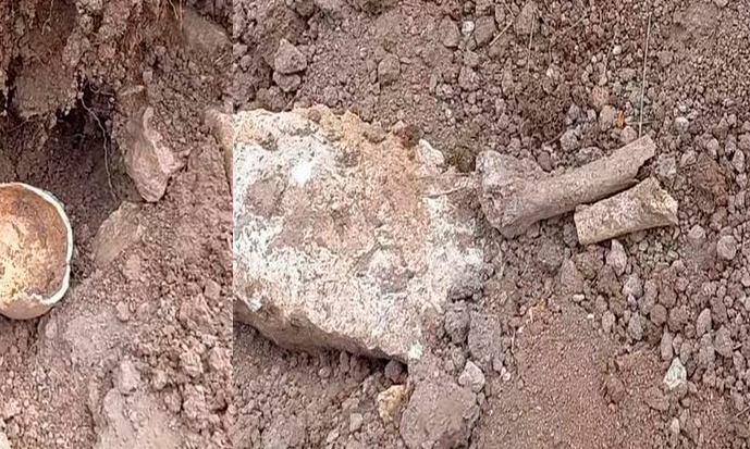 В Лачинском районе местный житель строил дорогу и нашел скелет