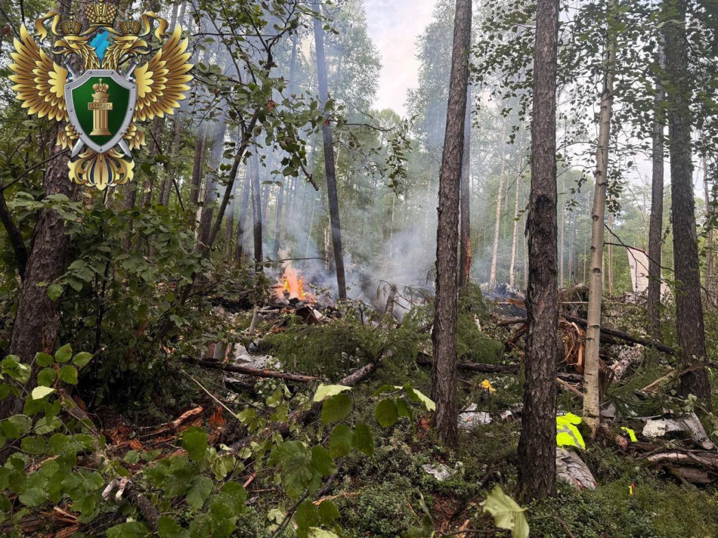 В России рухнул пассажирский самолет, погибли все находившиеся на борту