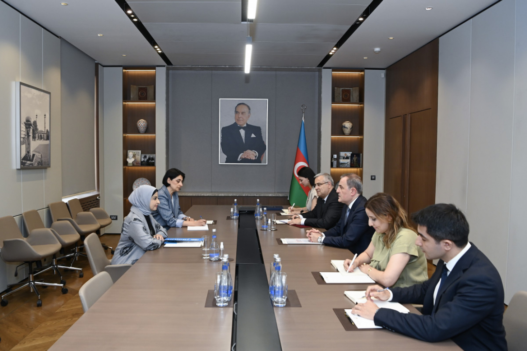 Байрамов принял представителя ЮНИСЕФ в связи с завершением ее дипмиссии