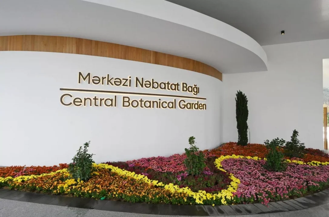 В Баку змея укусила 7-летнего мальчика в Ботаническом саду