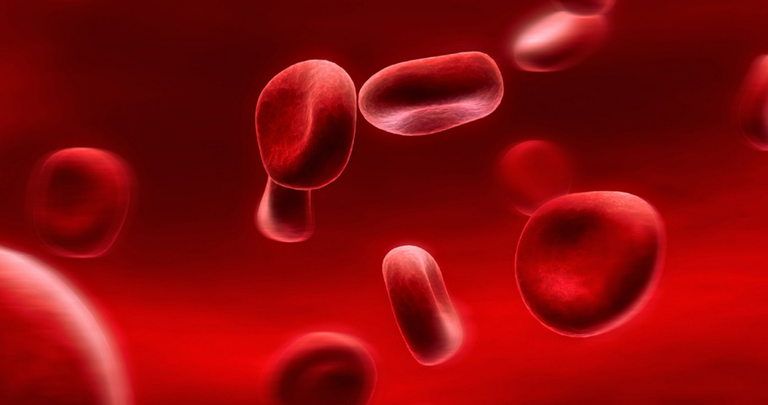 У жительницы Индии выявили уникальную группу крови