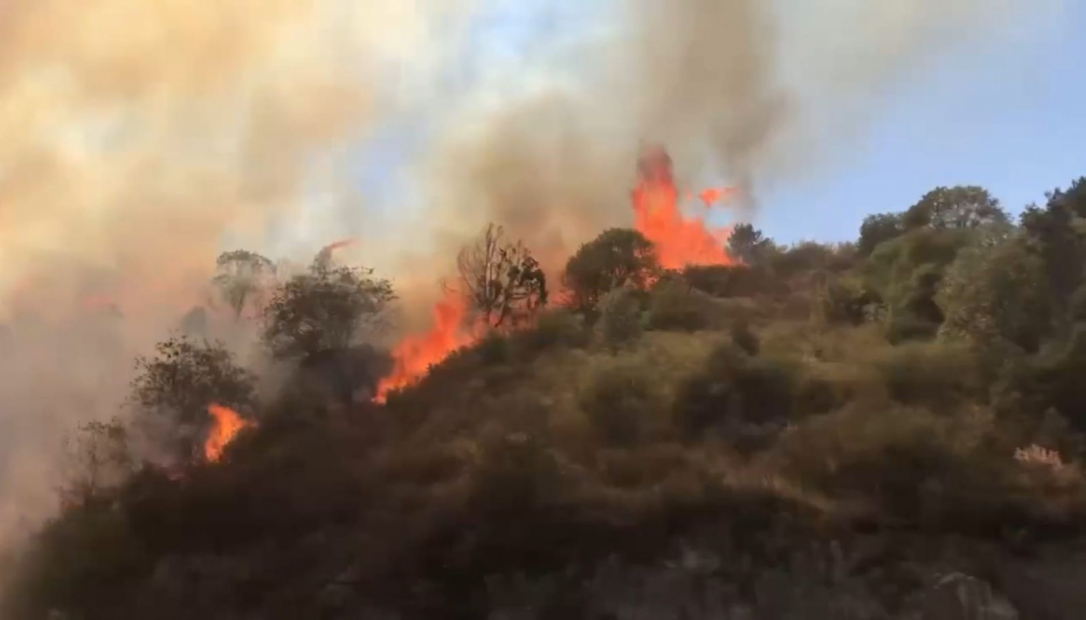 Лесной пожар в Лачинском районе полностью потушен