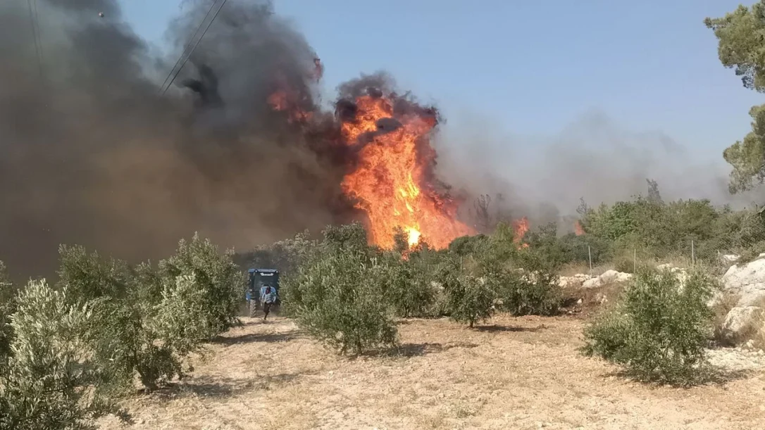 Более 1000 человек эвакуированы в Турции из-за лесных пожаров