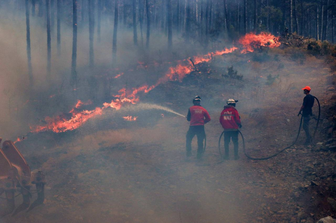 Пожар в Бурсе не удается потушить