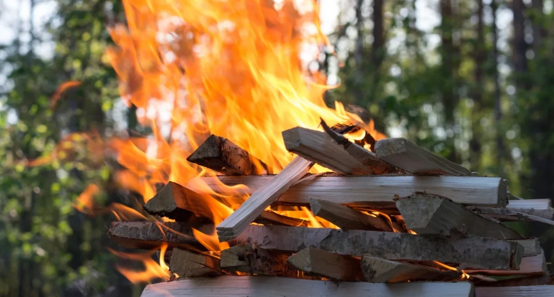 Во Франции сожгут контрацептивы на сумму около $11 млн.