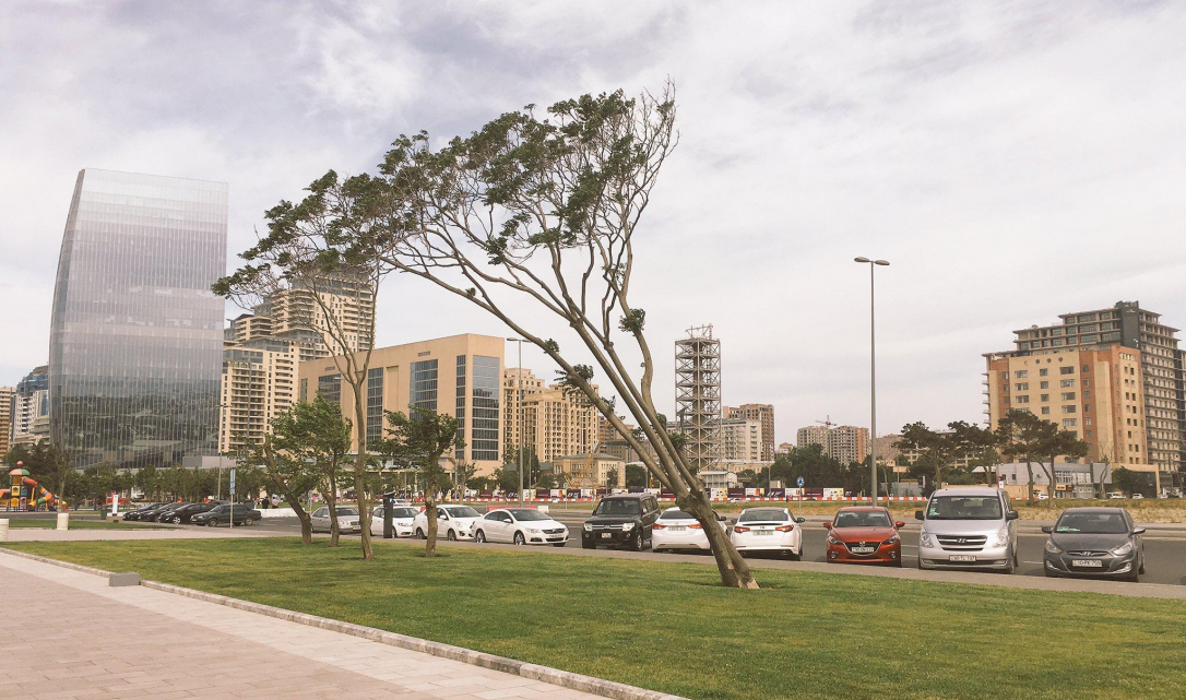 Жителей Азербайджана предупредили о сильном ветре