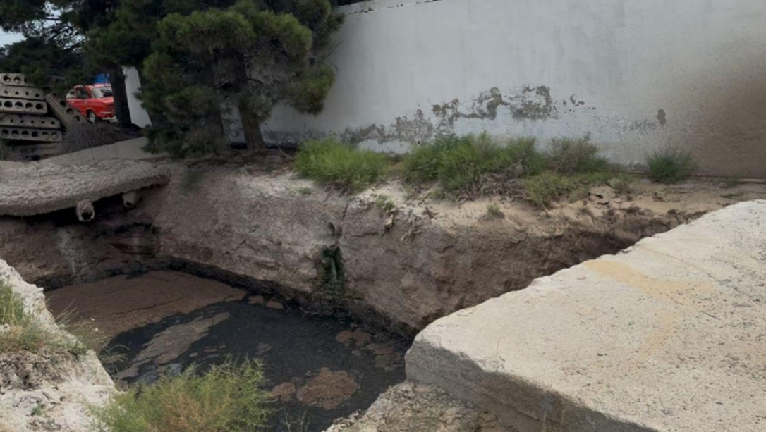 Госагентство крупно оштрафовало предприятие за загрязнение экологии