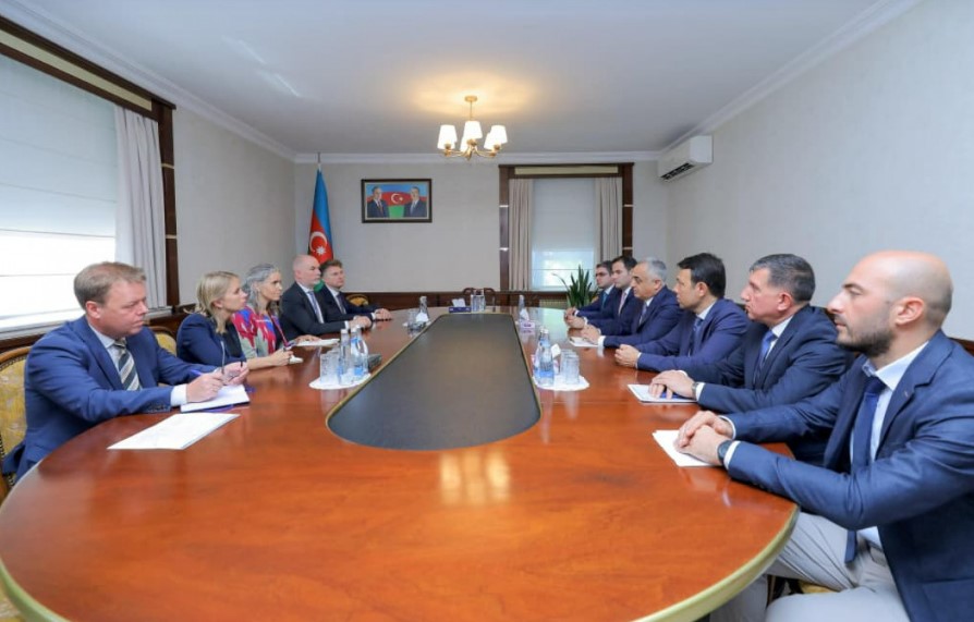 Наджафли рассказал спецпредставителю ЕС об оккупационной политике Еревана