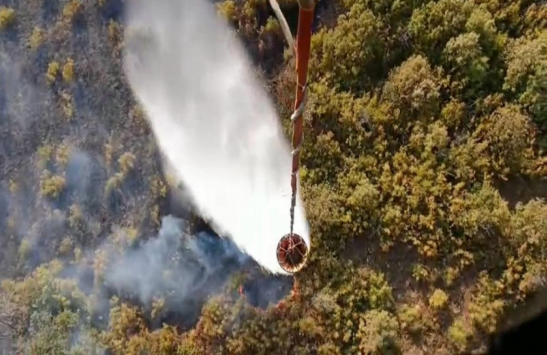 Пожар в Газахском районе потушен