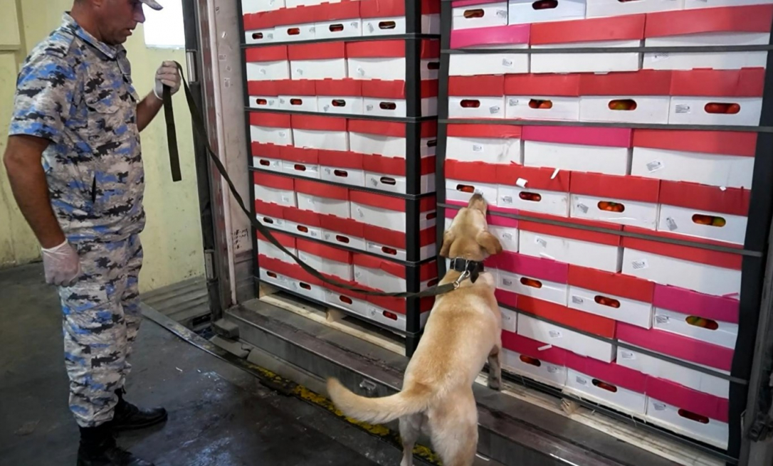 За грузом перца, следовавшим в Россию через Астару, скрывалась крупная партия марихуаны